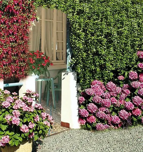 Saint Contard 2* Lourdes